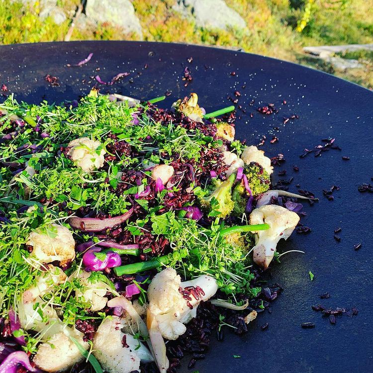 Härlig blandning av grönsaker på en stekhäll utomhus